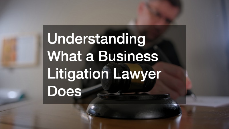Understanding What a Business Litigation Lawyer Does